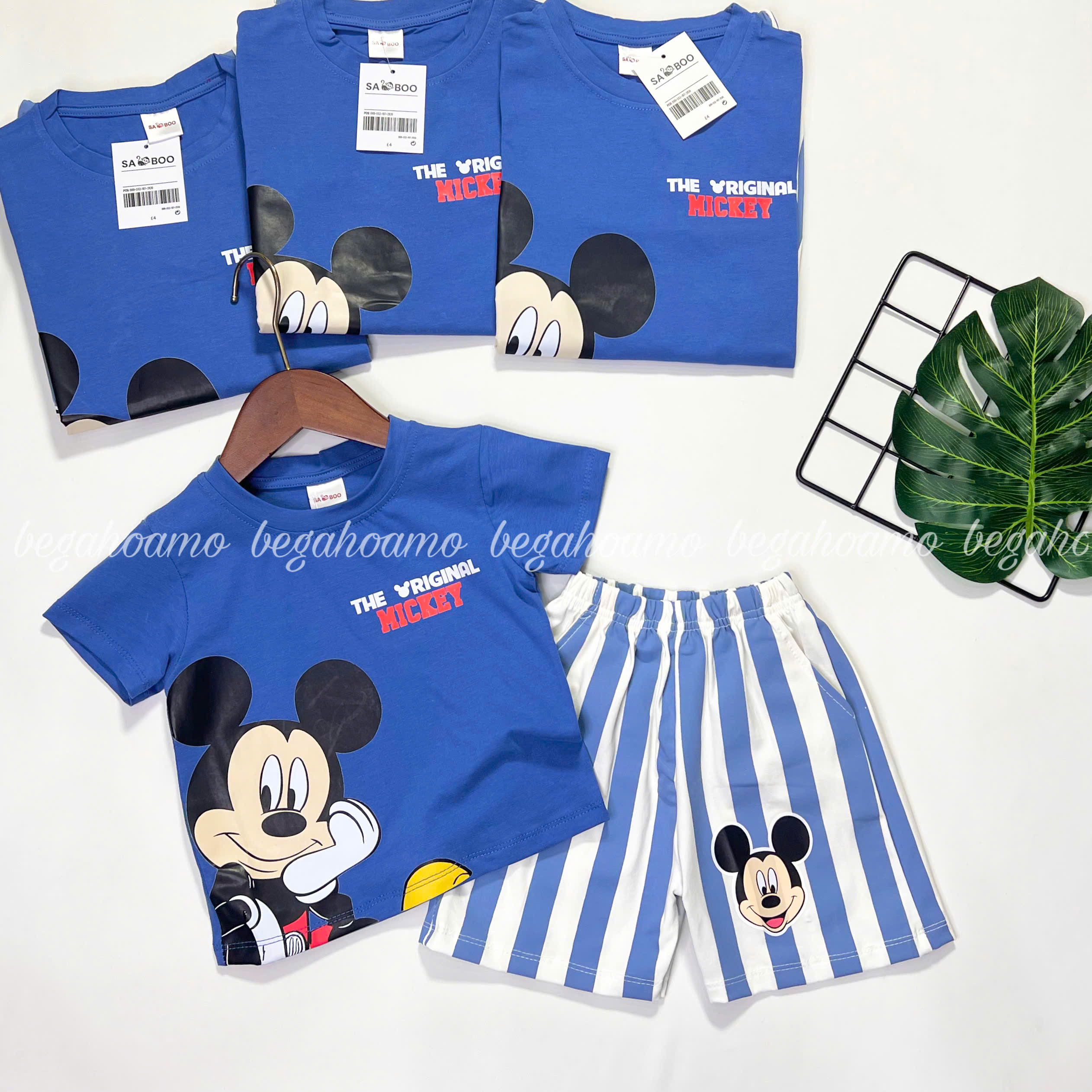Bộ cộc Micky Xanh