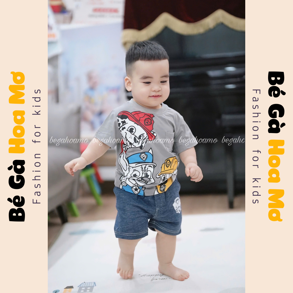 Bộ cộc tay chó cứu hộ